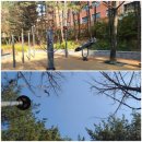 갈울근린공원 이미지