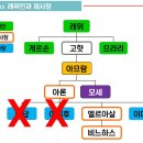 여호수아 21장-1 성읍을 요청하는 레위 자손들 (수 21:1~7) 이미지