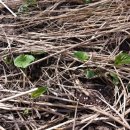 종지농장 이미지