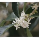 가을향기를 담은 향수 이미지