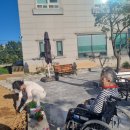 기쁨을 키우는 가족 원예생활 | [향남실버케어센터] 가을맞이 원예활동