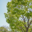 부산수목전시원 이미지