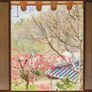 오성재활용 이미지