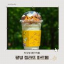 의정부 메가커피 팥빙수 팥빙 젤라또 파르페 파는곳 성공한 후기