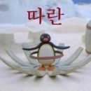달곰마카롱 - 북구 양달로 78 | 달곰마카롱