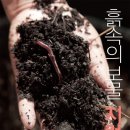 지렁이마을 이미지