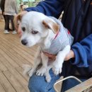 미장안길 이미지