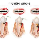 테라치과의원 이미지