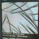 모멘텀헤어라인의원 이미지