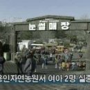 자연 농원 이미지