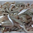 대천항세꼬시 이미지