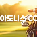 보성두부보리밥보쌈 이미지