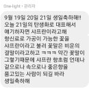 ✅2024년 9월 21일 이미지