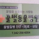 꿀벌 동물병원 이미지