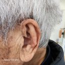 대동 독일보청기 이미지