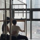 도안타워 | 꾸준한 변화가 느껴지는 도안 스텔라 요가&amp;필라테스 이야기