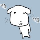 마음프로
