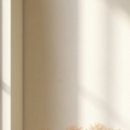 365상쾌한속연합내과의원 이미지