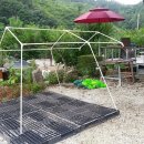 송계민박 이미지