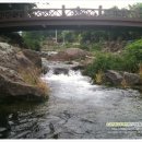 솜반내(솜반천) 이미지