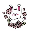 79돈 - 창원시 마산회원구 구암서6길 2 | 79돈