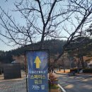 환호해맞이공원 | [포항 환호해맞이공원 스페이스워크] 포항 영일대 인근 환호공원 후기