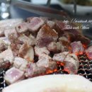 제주돈돼지 이미지