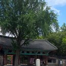 일락당 사랑채 | 전주 한옥마을 숙소 추천 일락당 목木방 후기 조식