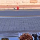 신평동1093 이미지