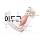 센스짐24 검암점 이미지