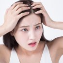 풍성식품