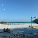 제주 조천 밥집 함덕 연옥 솥밥 내돈내산 후기 :)