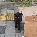 차와사람들 이미지