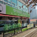 9988흑염소 - 876 | 9988흑염소