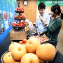 수출농산물