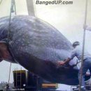 말랑말랑 이미지