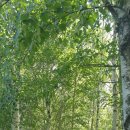 (용담)충혼탑 | 2021-07-18 펀치볼. 내심적계곡(강원 인제)