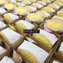 미항초등학교 이미지