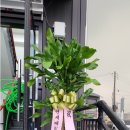 (주)소원축산유통