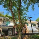 비발디베르만펜션 이미지