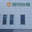 명칭 혼동 함안 가야농협·합천 가야농협 이름 변경 이미지