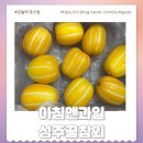 달콤한 아침 | 아침엔과일 아삭하고 달콤한 성주참외 구매후기