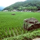 의령 수성리 지석묘군 이미지