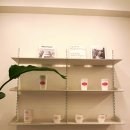 누카(NOOKA) 이미지