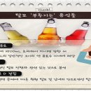 성화중국식품 | 탈모 음료 이것 마셔라! 두 배 풍성한 머릿결, 탈모 예방 음료 추천