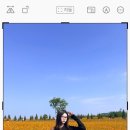 이십이(22) 이미지