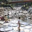 펜션 솔향 이미지