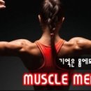 머슬메모리 이미지