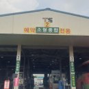 신탄진자동차검사소 이미지