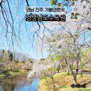 이반성면-4 | 경남 진주 가볼만한곳 경상남도수목원 데이트코스 벚꽃